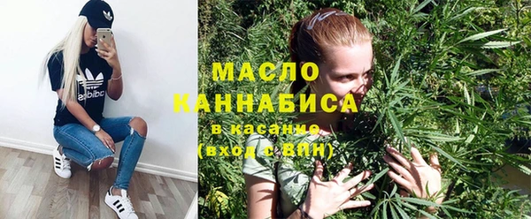 мяу мяу мука Гусь-Хрустальный