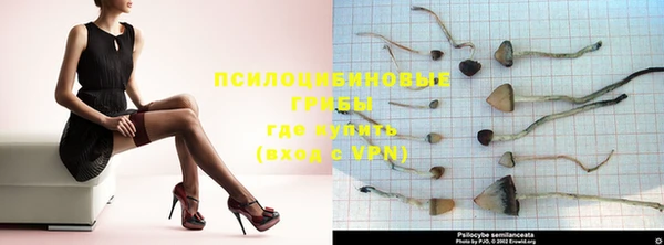 крисы Гусиноозёрск