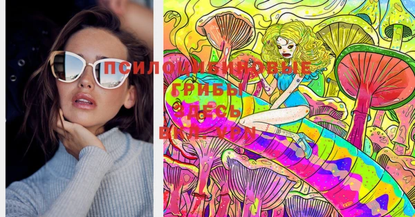 крисы Гусиноозёрск