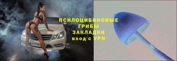 мдма Гусев