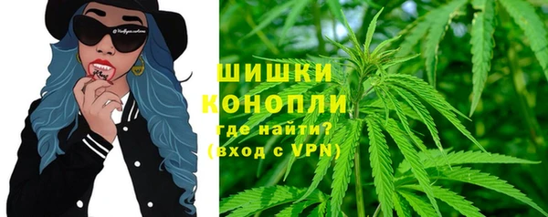 крисы Гусиноозёрск